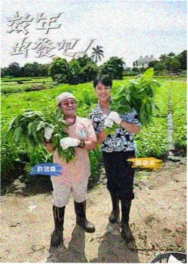 纸鸢传说
